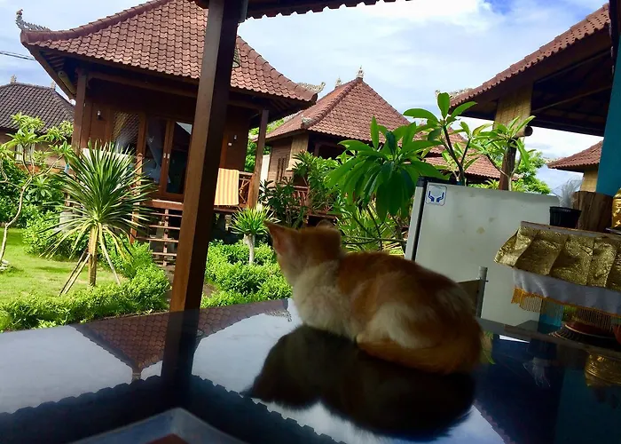 Neo Ulap Bali